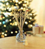 Christmas Diffuser