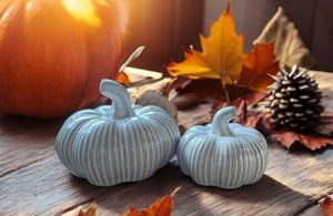 Large and Small Ceramic Pumpkins