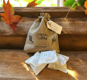 Mix Autumn Wax Melts