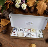 Mix Autumn Wax Melts
